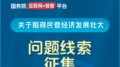 骚逼艹插视频国务院“互联网+督查”平台公开征集阻碍民营经济发展壮大问题线索